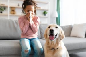 Asthma And Pets Managing Asthma Symptoms In The Presence Of Pets